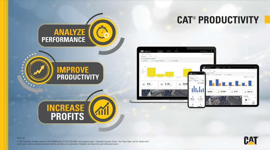 Cat Productivity