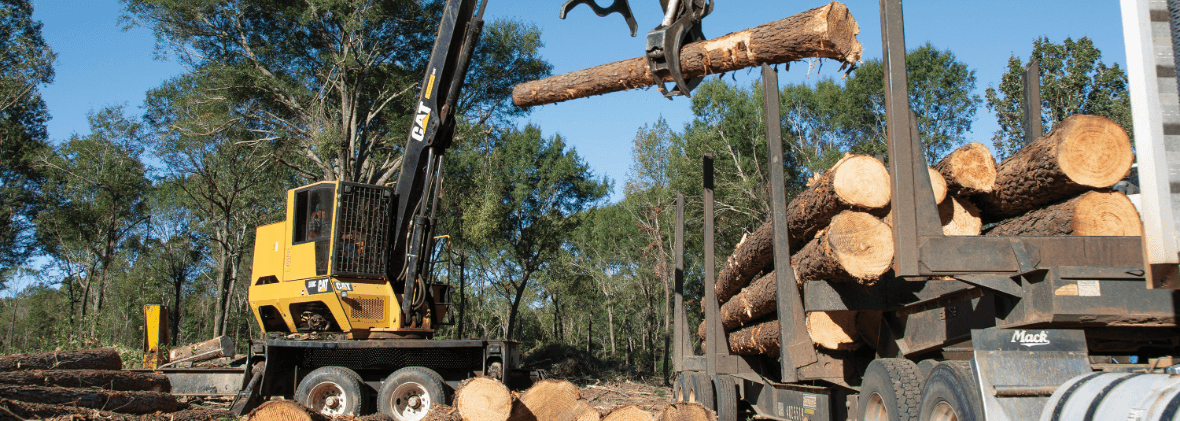 Harvesters and Feller Bunchers: The Dynamic Duo