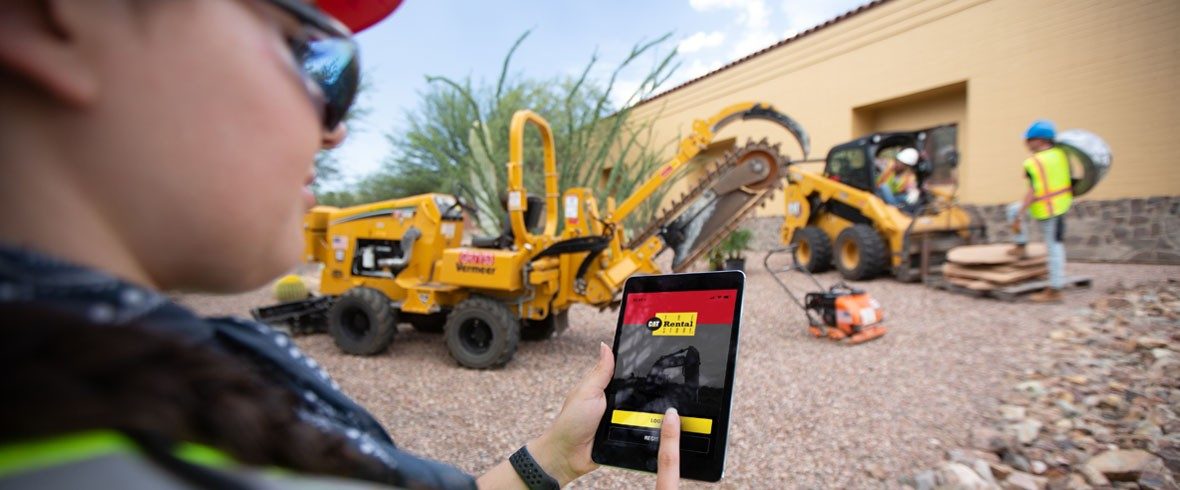 Cat Rental Store portal