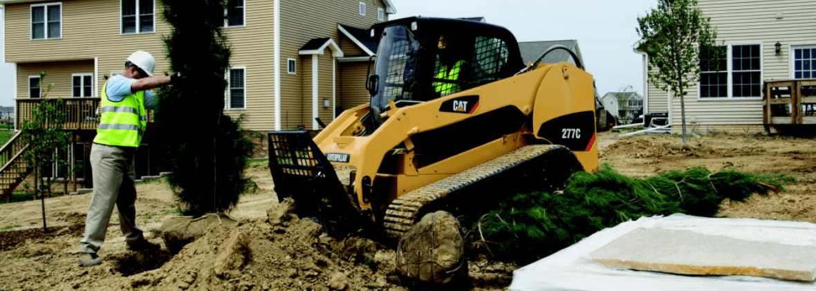 The Easiest Way to Remove a Tree