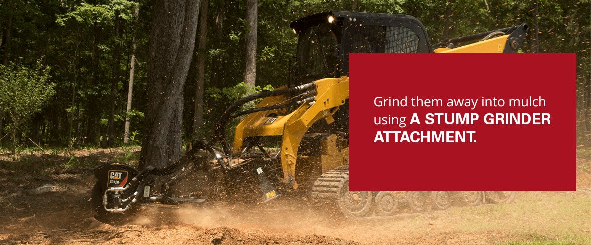 grind them away into mulch using a stump grinder attachment.