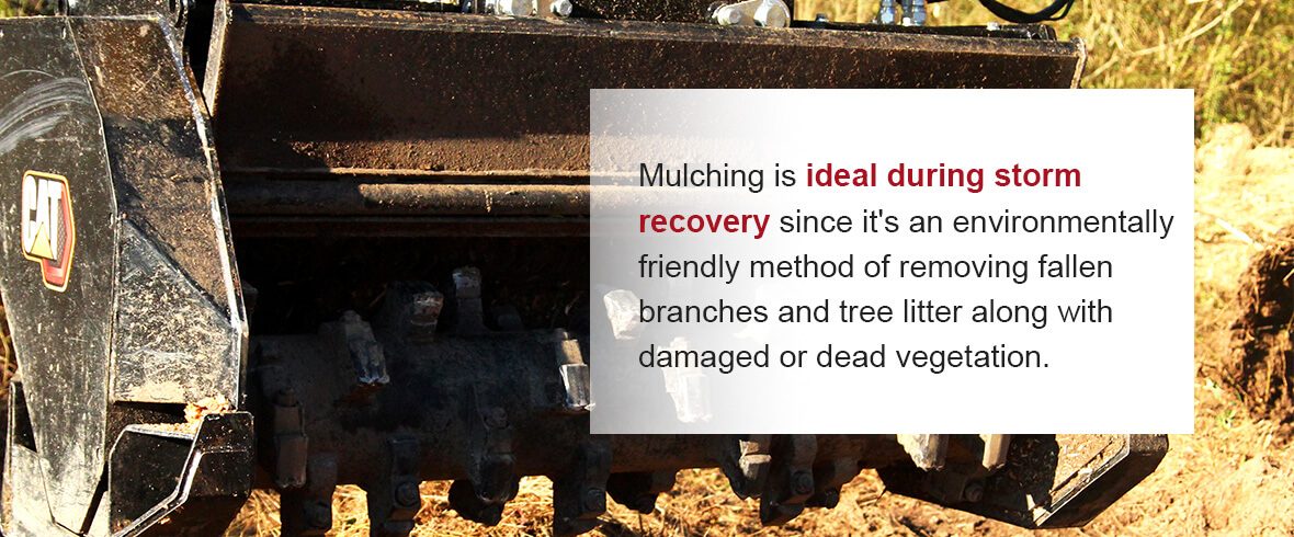 Mulching is ideal during storm recovery since it's an environmentally friendly method of removing fallen branches and tree litter along with damaged or dead vegetation.