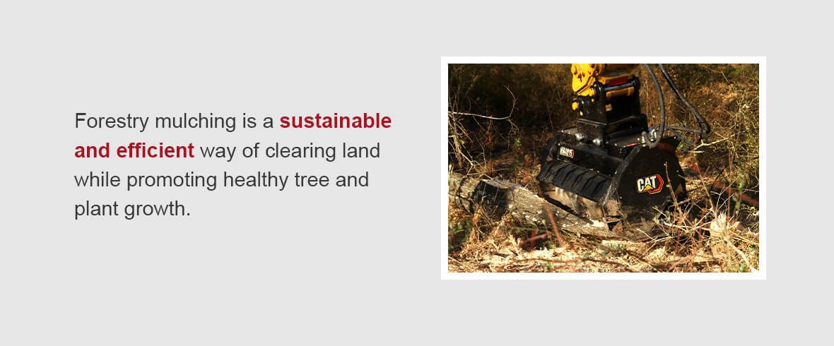 Forestry mulching is a sustainable and efficient way of clearing land while promoting healthy tree and plant growth.
