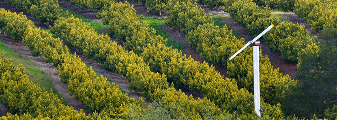 Why Renting Equipment Makes Sense for Orchards