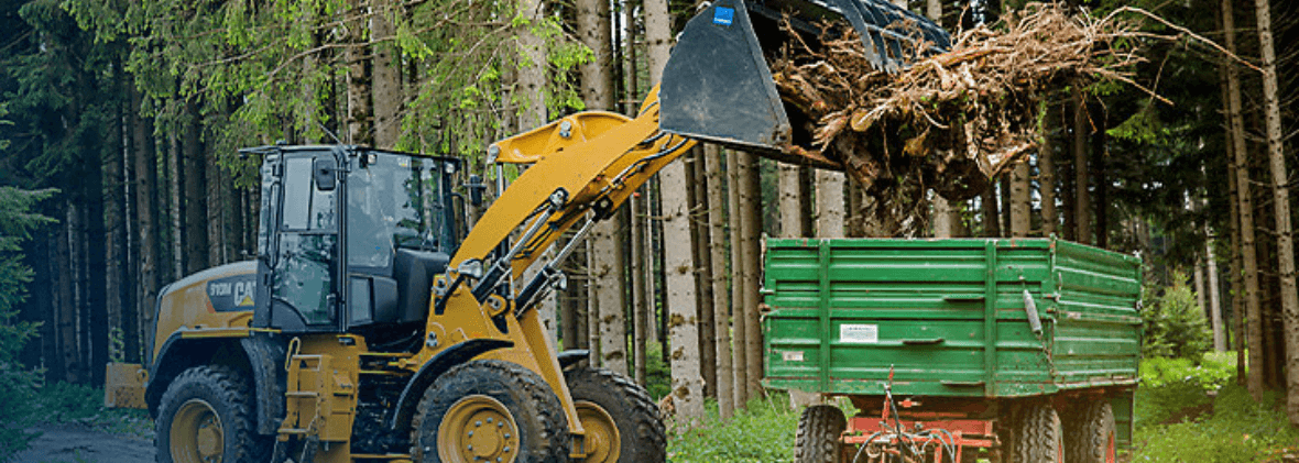 Sustainable Building Materials for Your Next Project