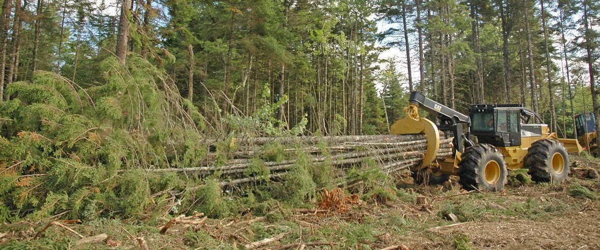 logging business