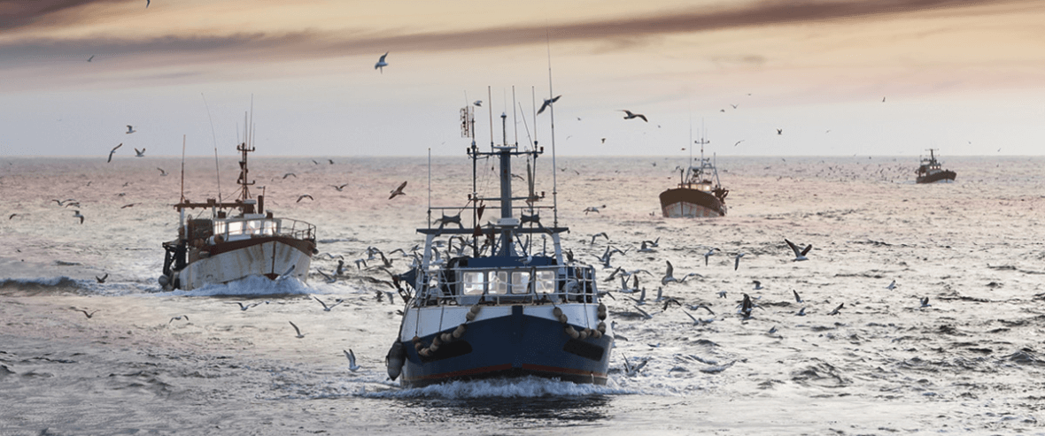 Fishing Rental Equipment