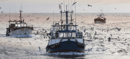 Fishing Rental Equipment