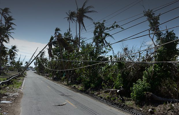 STORIES FROM THE STORM