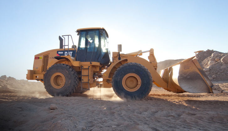 aniversario Cat Rental Store
