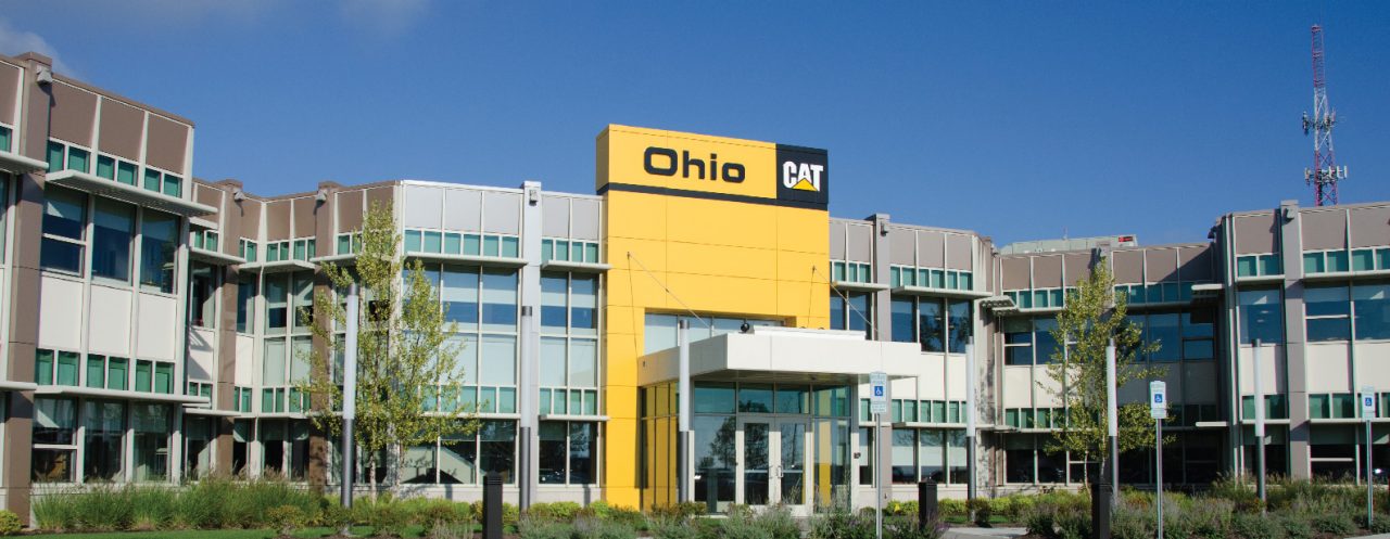 Ohio Cat—The Cat Rental Store