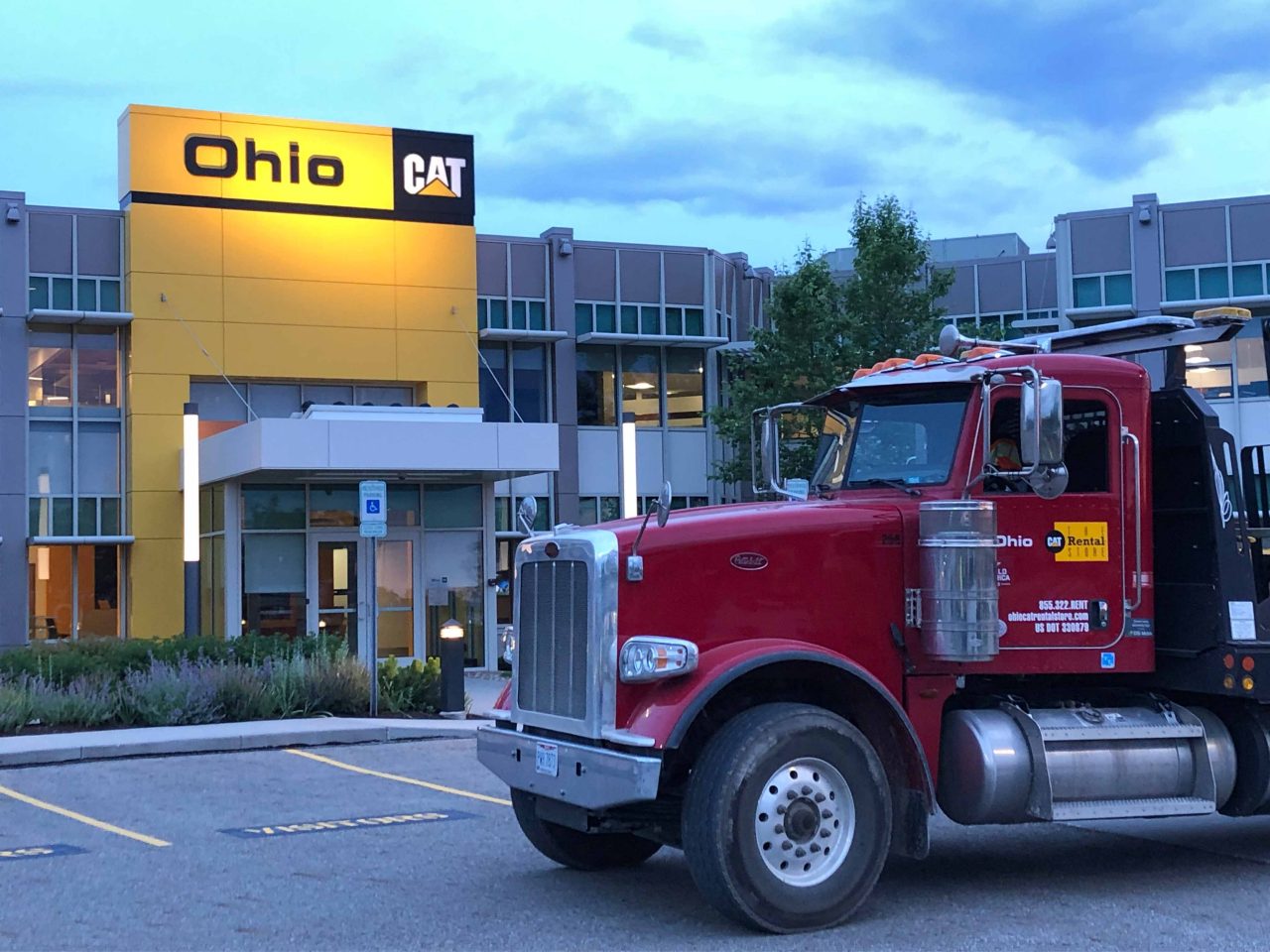 Ohio Cat—The Cat Rental Store