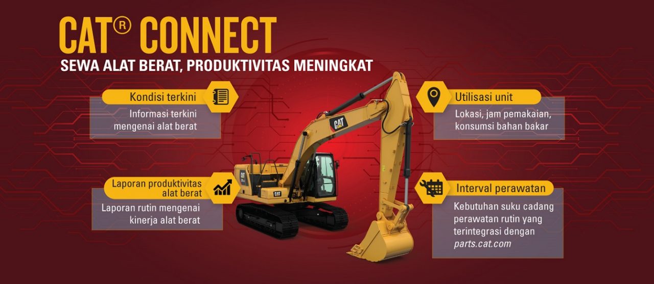 Cat Connect