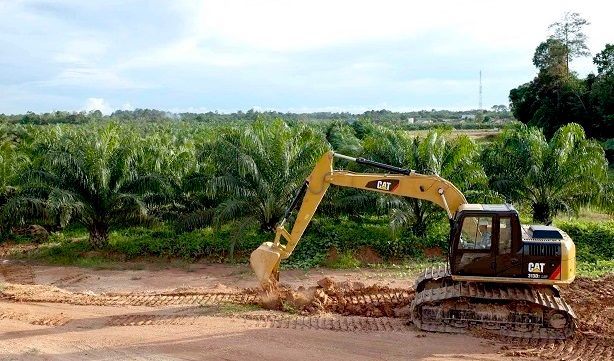 Cat 313D2 LGP