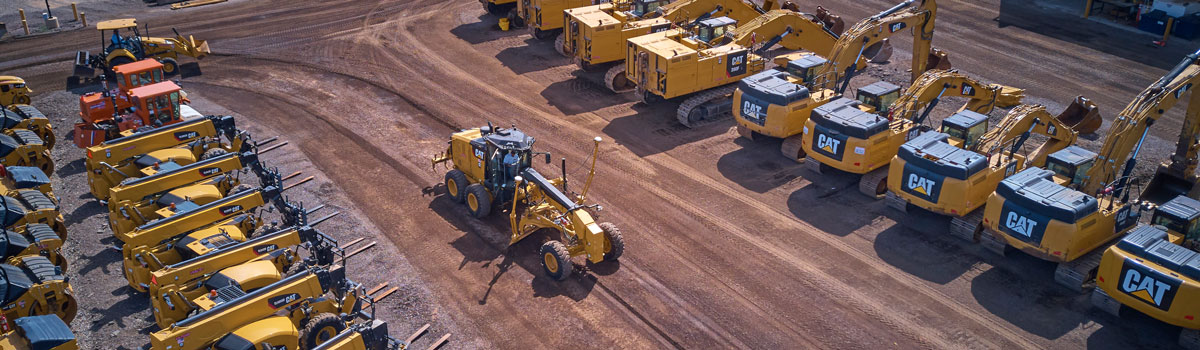 The Cat Rental Store blog